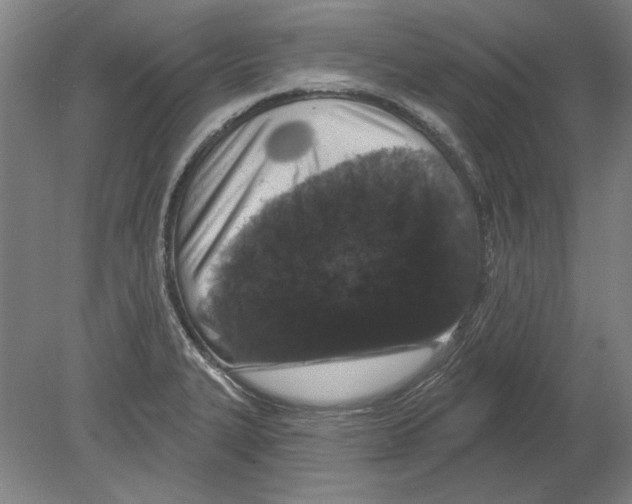 X0000080151327200701051529