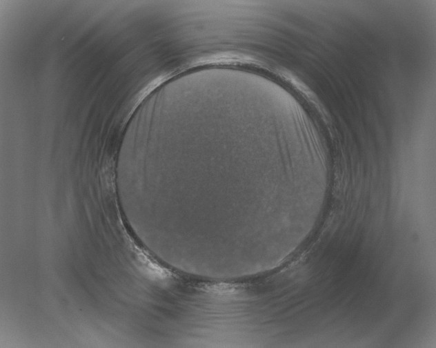 X0000080151329200701051529