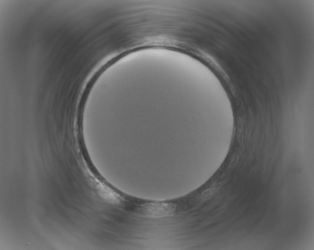 X0000080151331200701051529