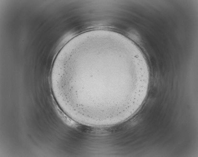 X0000080151338200701051529