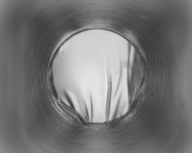 X0000080151340200701051529