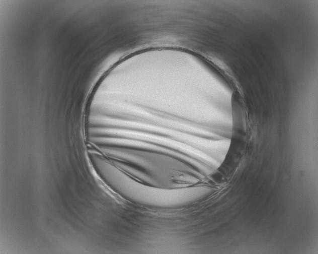 X0000080151342200701051529