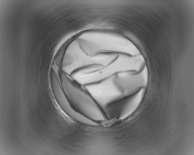 X0000080151344200701051529