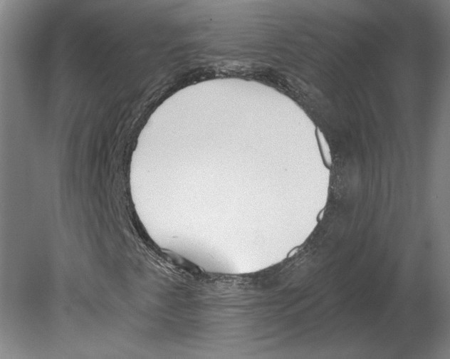 X0000080151345200701051529