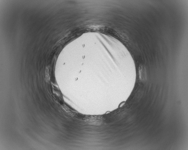 X0000080151347200701051529