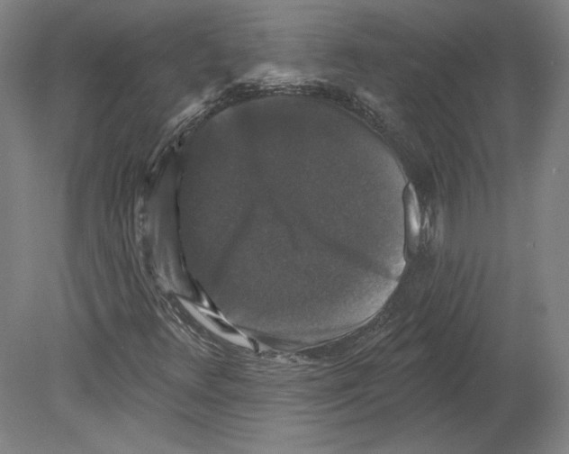 X0000080151348200701051529