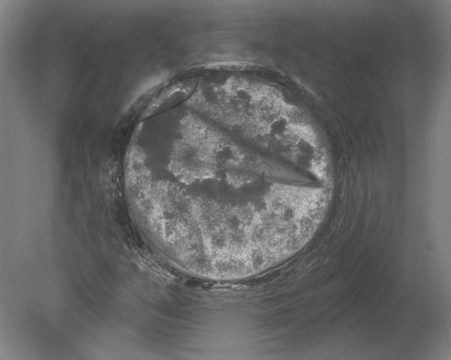X0000080151351200701051529