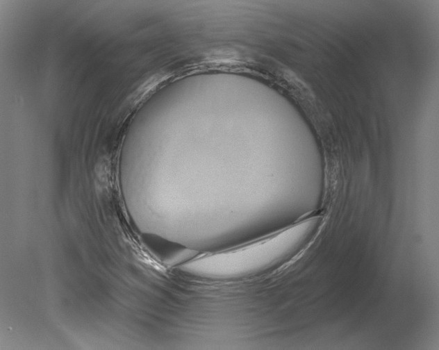 X0000080151353200701051528
