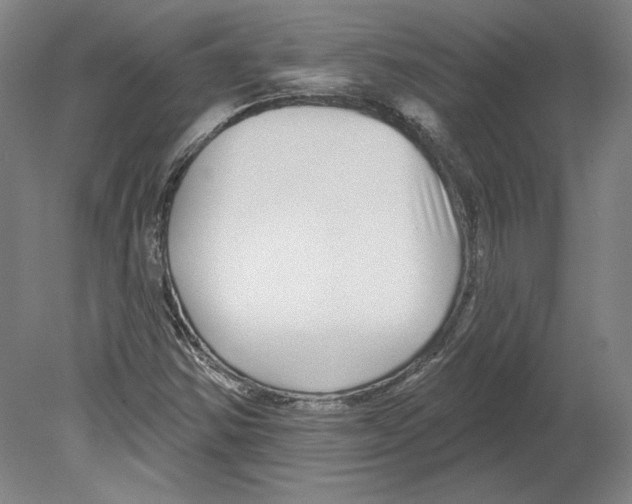 X0000080151354200701051528