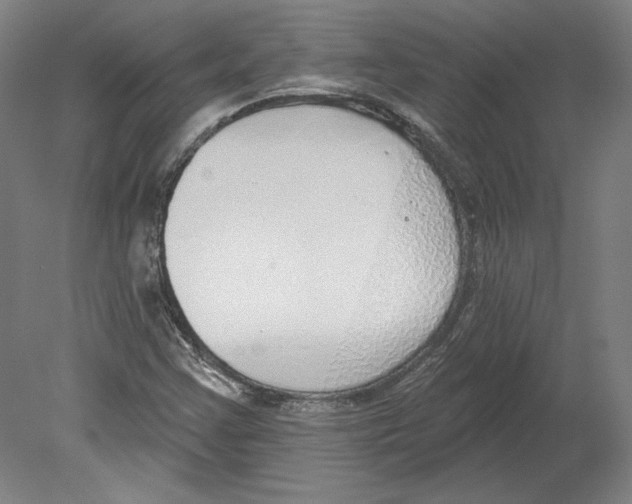 X0000080151355200701051528