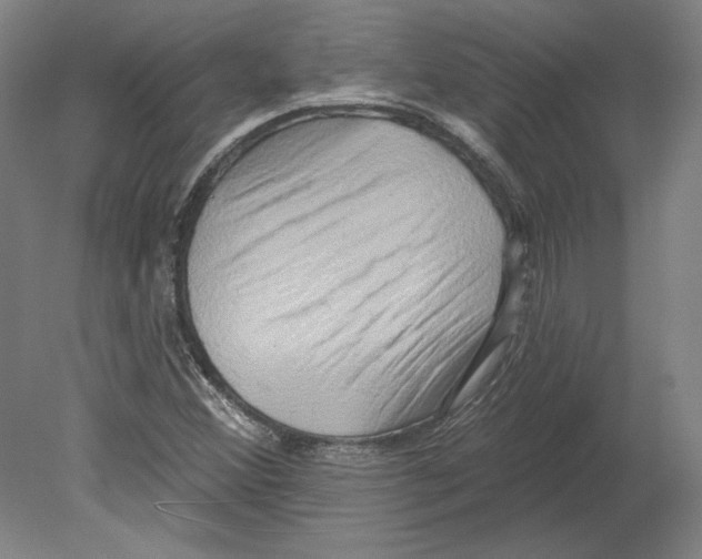 X0000080151356200701051528
