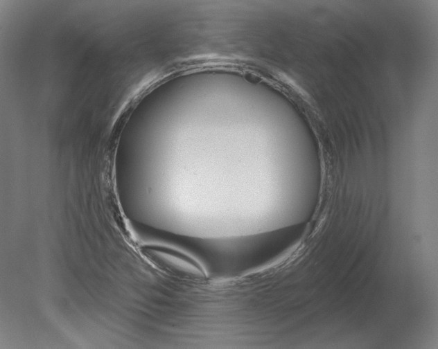 X0000080151357200701051528