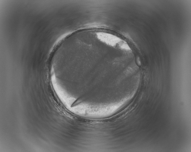 X0000080151358200701051528