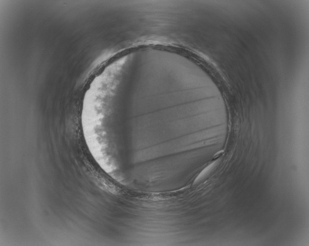 X0000080151359200701051528
