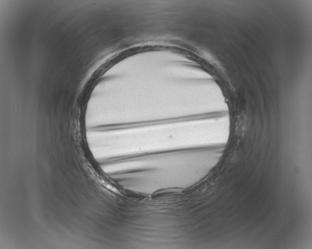 X0000080151360200701051528