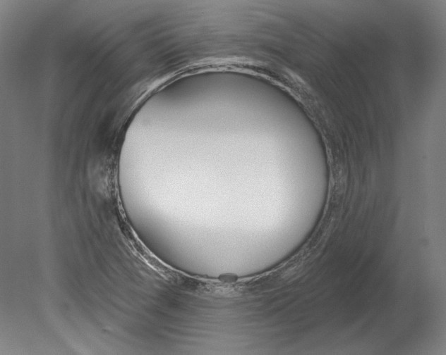 X0000080151361200701051528