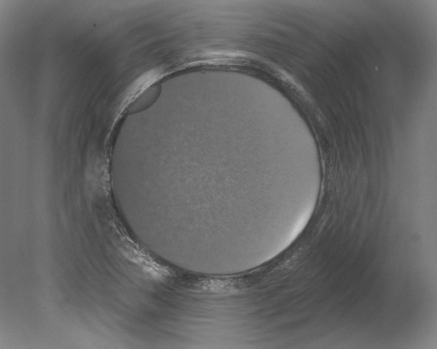 X0000080151362200701051528