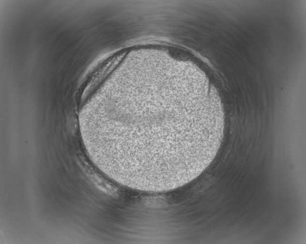 X0000080151363200701051528