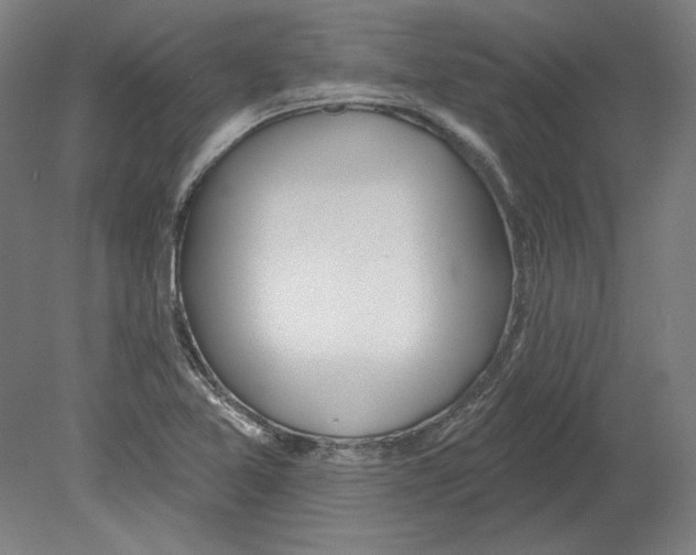 X0000080151365200701051528