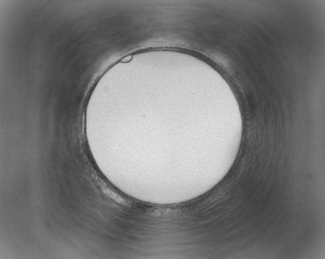 X0000080151366200701051528