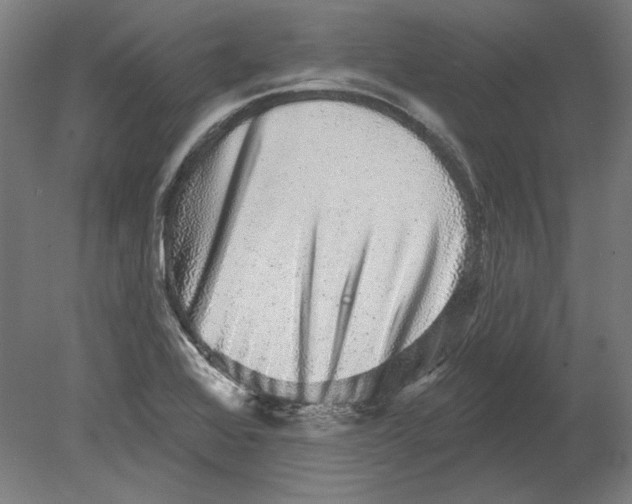 X0000080151368200701051528