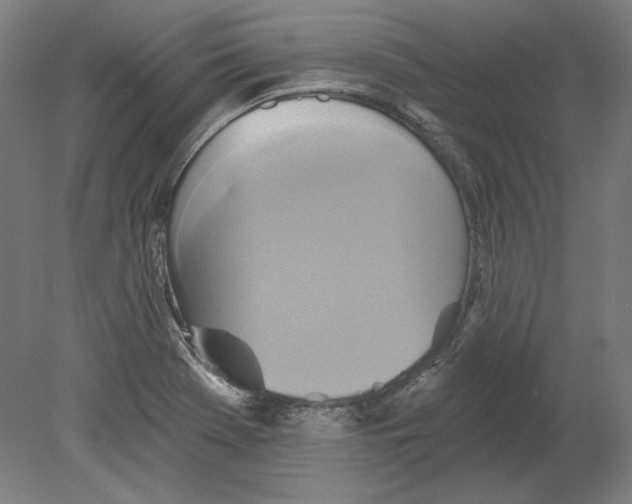 X0000080151369200701051528