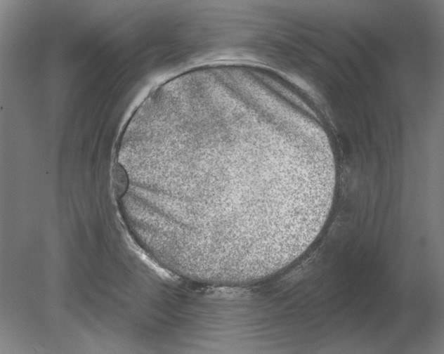 X0000080151374200701051528