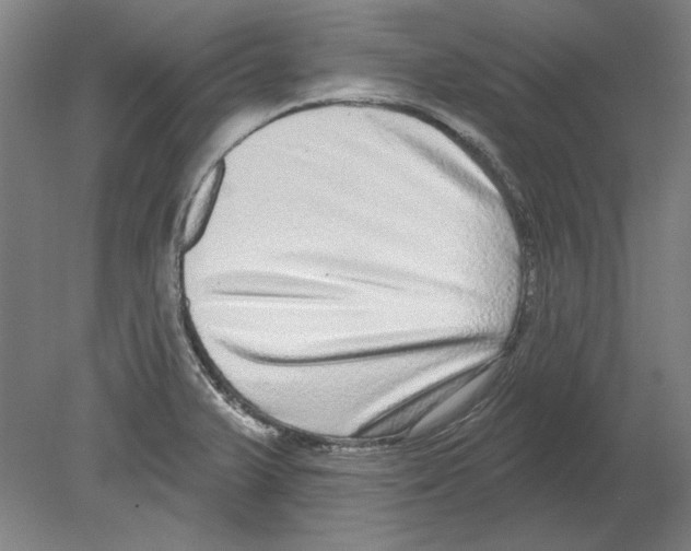 X0000080151375200701051528
