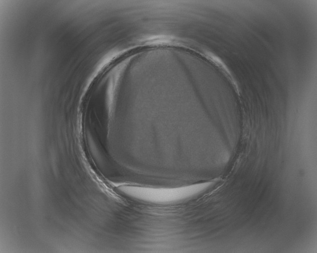 X0000080151376200701051528