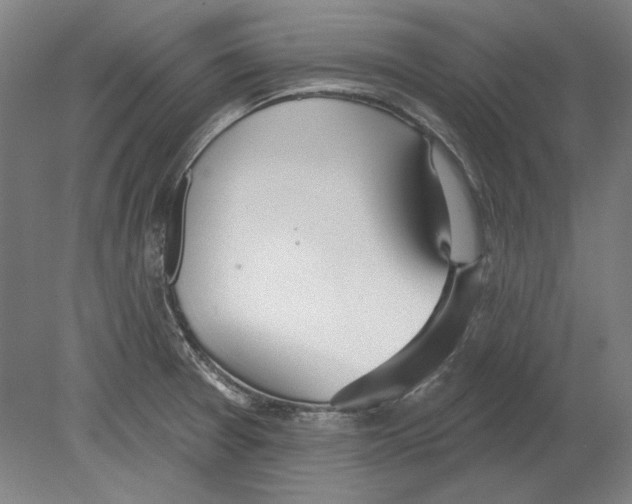 X0000080151377200701051528