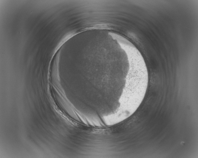 X0000080151378200701051528
