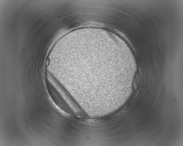 X0000080151379200701051528