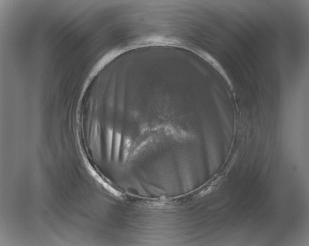X0000080151381200701051528