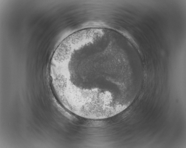 X0000080151382200701051528