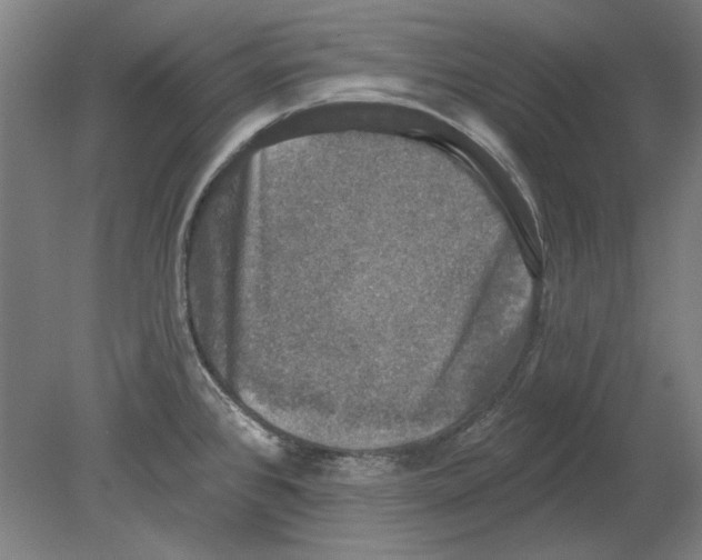 X0000080151384200701051528