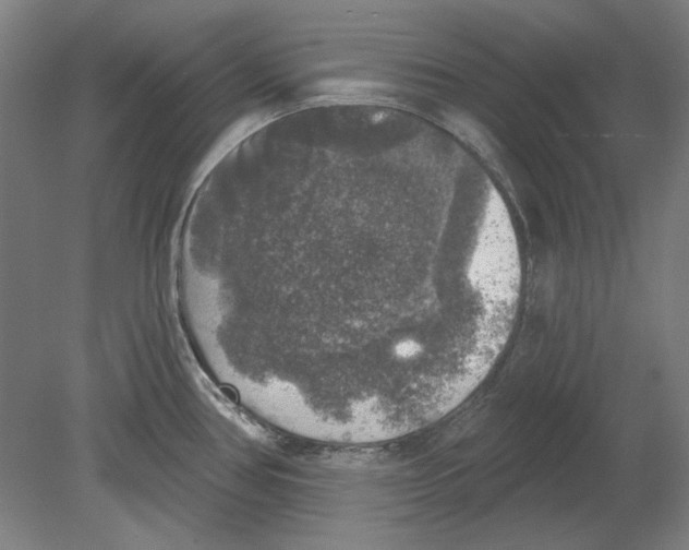 X0000080151386200701051528