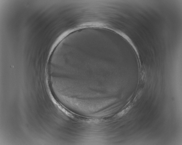 X0000080151389200701051528