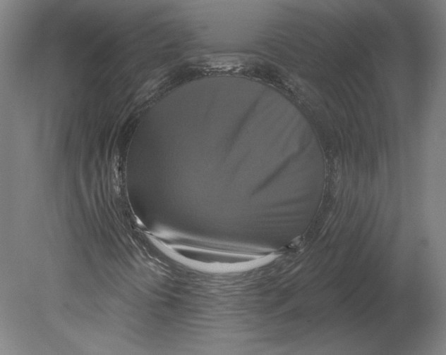 X0000080151394200701051527