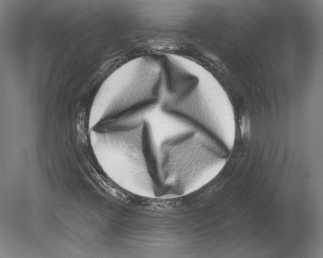 X0000080151396200701051527