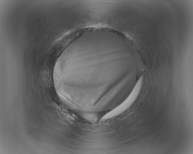 X0000080151398200701051527