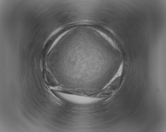X0000080151402200701051527