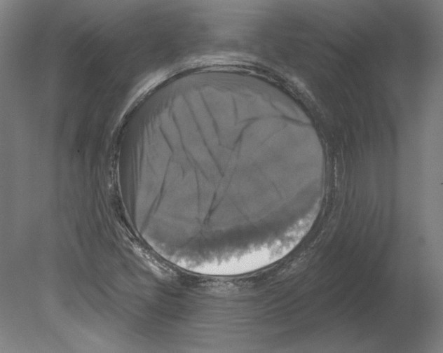 X0000080151405200701051527