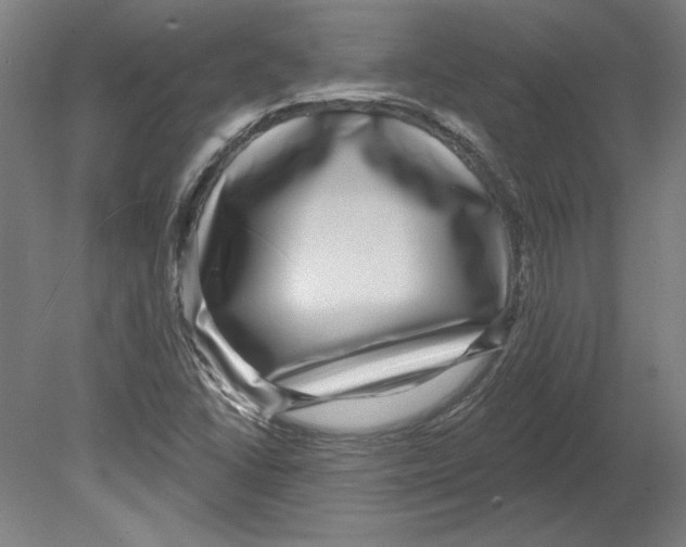 X0000080151406200701051527