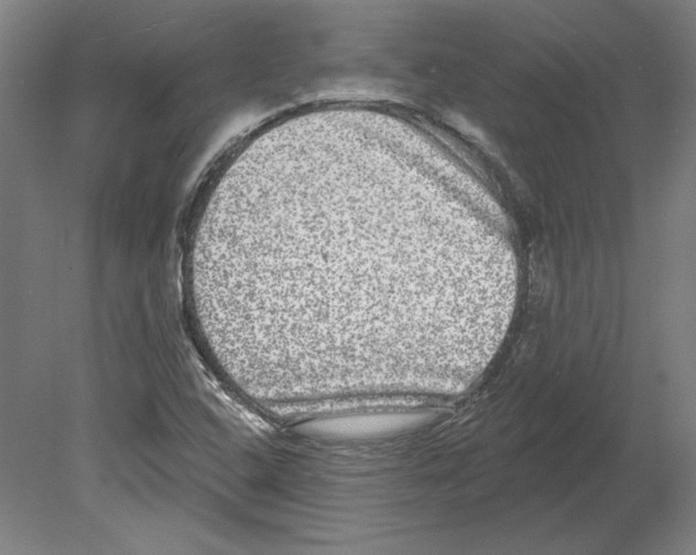 X0000080151408200701051527