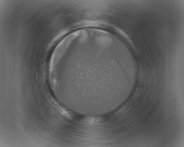 X0000080151411200701051527