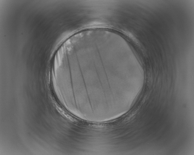 X0000080151413200701051527