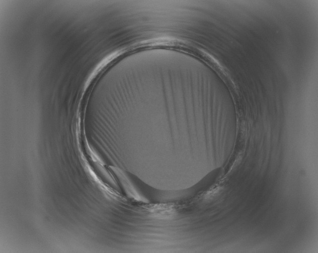 X0000080151418200701051527