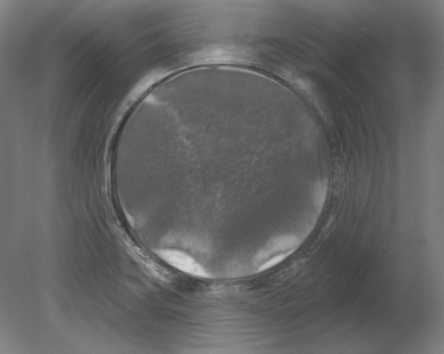 X0000080151419200701051527