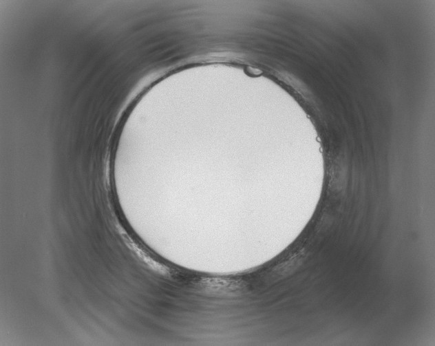 X0000080151420200701051527