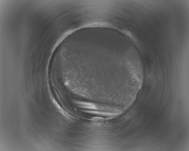 X0000080151422200701051527